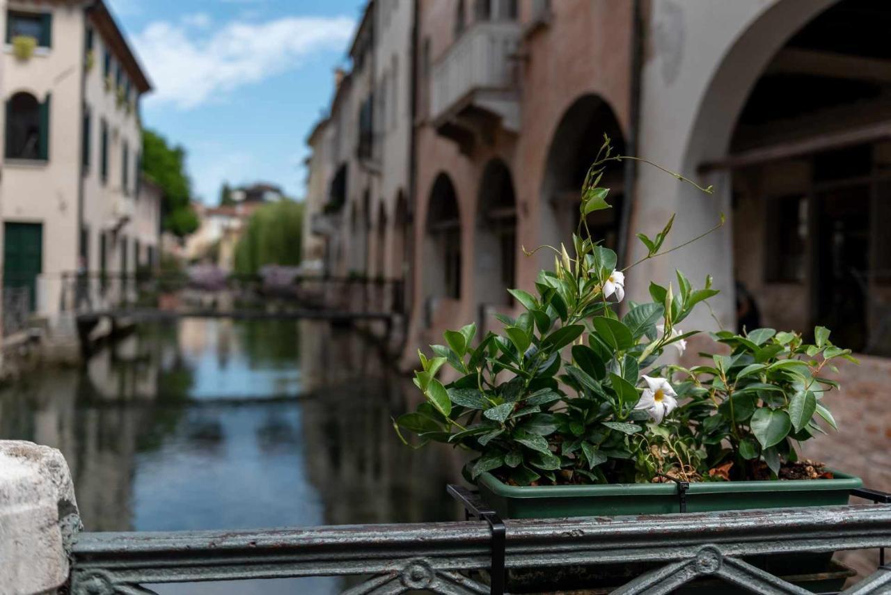 Buranelli Charme Rooms Treviso Eksteriør billede